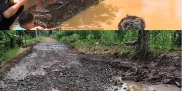 Warga Desa Sindangbarang Bergerak: Akses Jalan Rusak Diperbaiki Swadaya, Pemerintah Desa Desak Tindak Lanjut PUPR