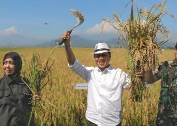 Pro Terhadap Petani, Bupati Bandung Bebaskan Pajak Lahan Sawah Dilindungi Serta Beri BPJS
