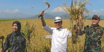 Pro Terhadap Petani, Bupati Bandung Bebaskan Pajak Lahan Sawah Dilindungi Serta Beri BPJS