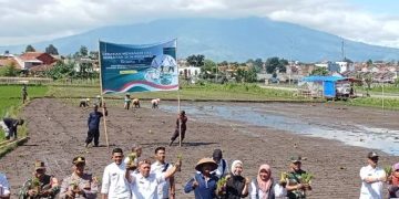 Gerakan Tanam Padi Serentak, Garut Targetkan Swasembada Pangan