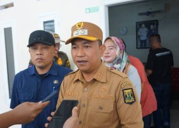 Wabup Sukabumi Tinjau Lokasi Banjir Kampung Cileungsi Desa Citarik
