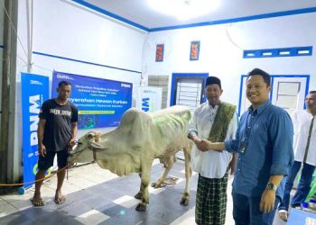 PNM Rayakan HUT ke-26 dengan Sedekah Kurban di 26 Titik Wilayah Terpencil