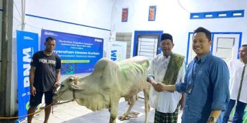 PNM Rayakan HUT ke-26 dengan Sedekah Kurban di 26 Titik Wilayah Terpencil