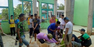 PCNU Ciamis Sembelih 6 Hewan Kurban, Salurkan 824 Paket Daging kepada Warga Sekitar
