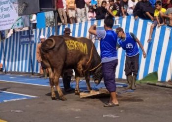 Polres Ciamis Kurban 8 Sapi dan 21 Kambing, Bentuk Ibadah Dan Peduli Sosial