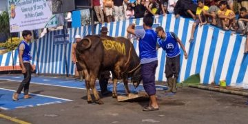 Polres Ciamis Kurban 8 Sapi dan 21 Kambing, Bentuk Ibadah Dan Peduli Sosial