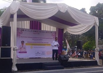 PEPATAH MANIS Ciamis Terintegrasi dengan OPM dan Job Fair, Perkuat Layanan Publik dan Stabilitas Ekonomi