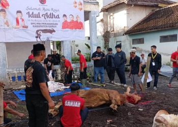 Rayakan Idul Adha 1446 H, DPC PDIP Garut Gelar Baksos Pembagian Daging Kurban