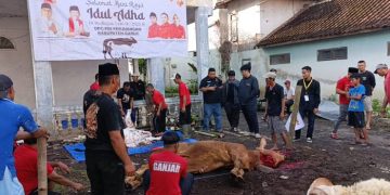 Rayakan Idul Adha 1446 H, DPC PDIP Garut Gelar Baksos Pembagian Daging Kurban