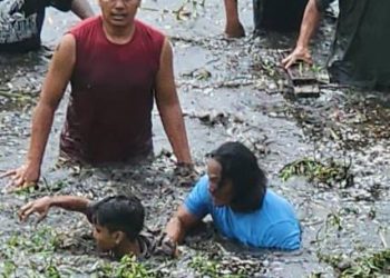 Terduga Dua Pelaku Curanmor Kabur Nyebur ke Rawa-Rawa, Ditangkap Satreskrim Polres Subang