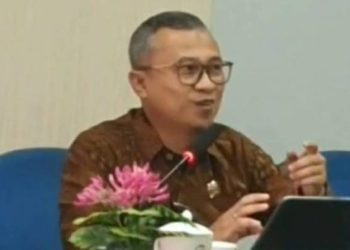 SADAYA di Ciamis, Inovasi Satu Data Disabilitas Dengan Keadilan dan Kemandirian