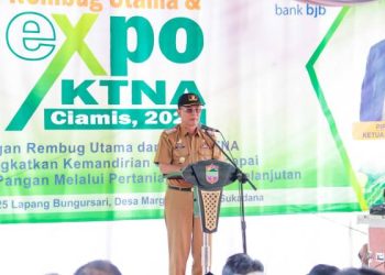 Kabupaten Ciamis Andalkan Kolaborasi dan Optimalisasi Lahan Wilayah Selatan Untuk Bangun Ketahanan Pangan 