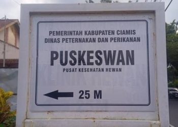 Disnakan Ciamis Hadirkan Layanan USG Hewan di Puskeswan, Solusi Cek Kesehatan Ternak dan Hewan Peliharaan
