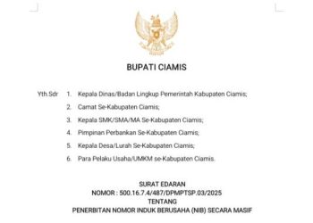 Melalui Surat Edaran Bupati, DPMPTSP Ciamis Gencarkan Penerbitan NIB Secara Masif