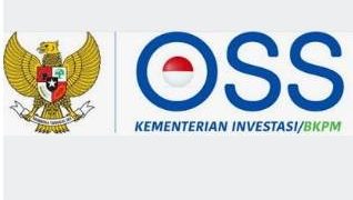 DPMPTSP Ciamis Ajak Masyarakat Urus NIB Lewat OSS, Ini Langkahnya