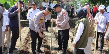 Perkuat Ketahanan Pangan, Polres Ciamis Tanam Jagung Serentak di Pesantren, Dukung Kesejahteraan Petani dan Kemandirian Komunitas