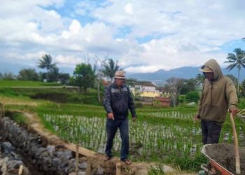 Optimalisasi Irigasi, BBWS dan P3A Desa Sukabakti Perkuat Pengelolaan Air Pertanian