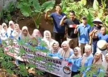 DPMPTSP Ciamis Gandeng DWP Tanam Sayuran di Kantor, Wujudkan Ketahanan Pangan Keluarga