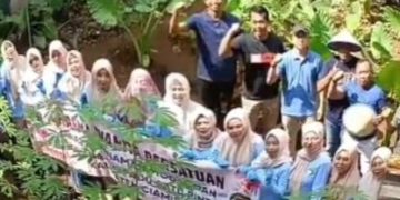 DPMPTSP Ciamis Gandeng DWP Tanam Sayuran di Kantor, Wujudkan Ketahanan Pangan Keluarga