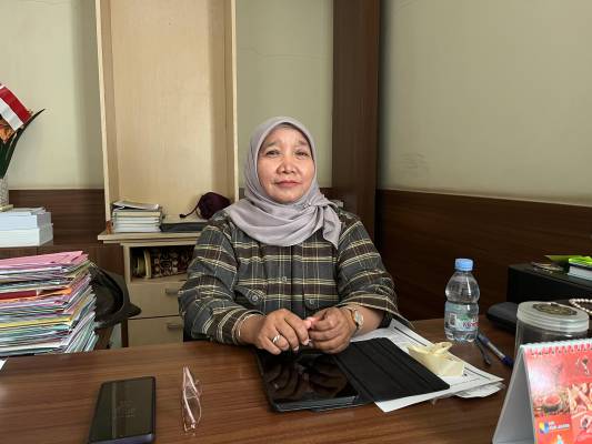 PPPK Tidak Boleh Rangkap Jabatan, BKPSDM Ciamis Ingatkan untuk Mundur