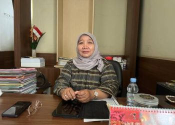 Gaji PPPK Paruh Waktu Jadi Sorotan, BKPSDM Ciamis Tegaskan Sesuai Kemampuan Daerah