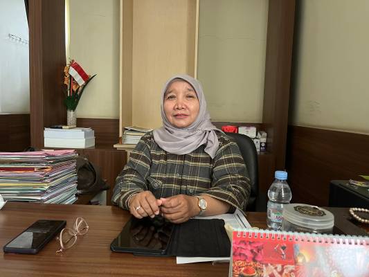 Gaji PPPK Paruh Waktu Jadi Sorotan, BKPSDM Ciamis Tegaskan Sesuai Kemampuan Daerah