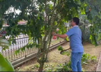 Satpol PP Ciamis Gelar Jumat Bersih, Teguhkan Budaya Kerja dan Pelayanan Publik