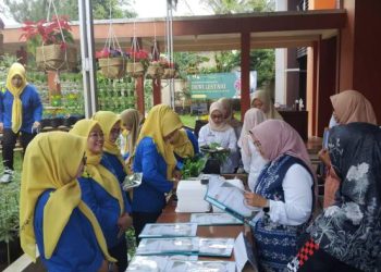 DWP DPUPRP Ciamis Jalani Rechecking Pemanfaatan Lahan Kantor