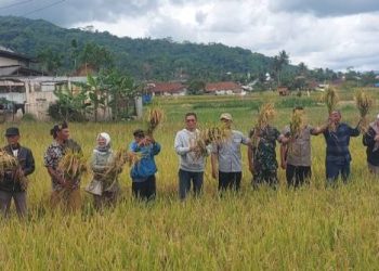 DPKP Ciamis Gelar Penutupan Sekolah Lapang Pertanian Sehat Ramah Lingkungan Berkelanjutan 2025