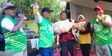 Milangkala Desa Bumiwangi Ke -22 Meriah, Ribuan Masyarakat Ikut Jalan Santai Berhadiah Kambing