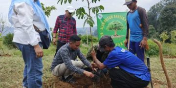 Selamatkan Lingkungan SOMASI Gelar Penanaman Pohon di Gambung