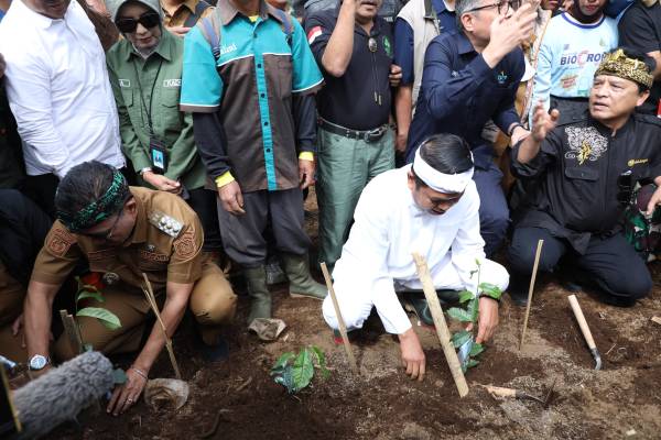 Kang DS dan KDM Pimpin Tanam Pohon untuk Pulihkan Ekosistem Pangalengan