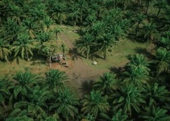 Reforma Agraria di Garut Terancam Mandek, Dampak Ketakutan Berlebihan Birokrat?