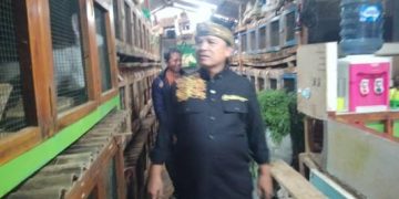 Isi Waktu Luang Anggota DPR RI. Fraksi Golkar, H. Dadang M Naser Sambangi Peternak Budidaya Kelinci di Desa Sukapura