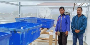 BUMDes Marsela Mahardika 2 Bulan  Target Punya Ritel, Kini Fokus Jalankan Ketahanan Pangan