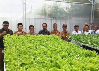 Untuk Ketahanan Pangan Green House Hidroponik ‘Sahabat Cahaya Farm’ Diresmikan
