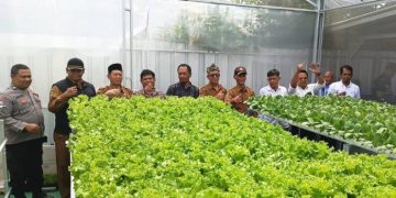 Untuk Ketahanan Pangan Green House Hidroponik ‘Sahabat Cahaya Farm’ Diresmikan