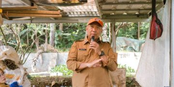 Sekda Ciamis Hadiri Panen SRI GACCORS di Sadananya, Tegaskan Arah Baru Pertanian Organik