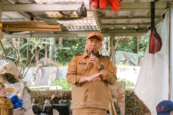 Sekda Ciamis Hadiri Panen SRI GACCORS di Sadananya, Tegaskan Arah Baru Pertanian Organik