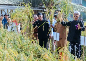 Demplot Jambansari Panen Raya, Bupati Ciamis Optimistis Wujudkan Kabupaten Organik 2026