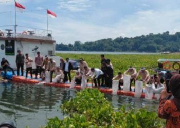 KTNA Tebar 50 Ribu Bibit Ikan di Jatiluhur