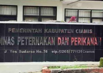 Dukung MBG, Disnakkan Ciamis Jamin Pasokan Telur, Ayam dan Daging Aman