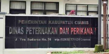 Dukung MBG, Disnakkan Ciamis Jamin Pasokan Telur, Ayam dan Daging Aman