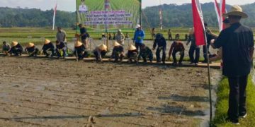 Berbasis Kajian Tanah, GACCORS Dorong PSRLB, Bupati Herdiat Sunarya Perkuat dengan Perbup