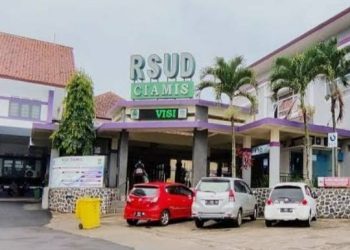 Sempat Kritis Digigit Ular, Dilan Pulang Selamat Berkat Layanan Humanis RSUD Ciamis