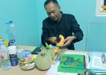 Hidroponik Budi Daya Melon Fujisawa BUMDes Marsela Mahardika Mulai Bahkan Hasil