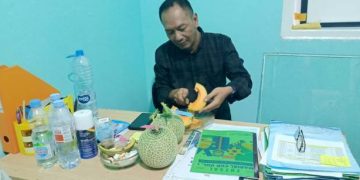 Hidroponik Budi Daya Melon Fujisawa BUMDes Marsela Mahardika Mulai Bahkan Hasil