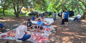 Indra Kardiansyah Sekretaris DPC Demokrat Subang Idul Adha 2026 Salurkan hewan qurban 3 ekor Sapi