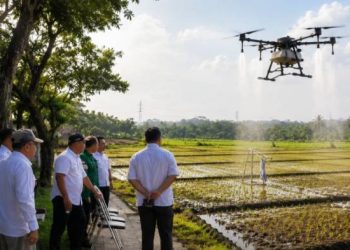 Drone Semprot Sawah Organik Cigembor, Sekda Ciamis Tinjau Langsung Pengembangan