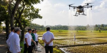 Drone Semprot Sawah Organik Cigembor, Sekda Ciamis Tinjau Langsung Pengembangan